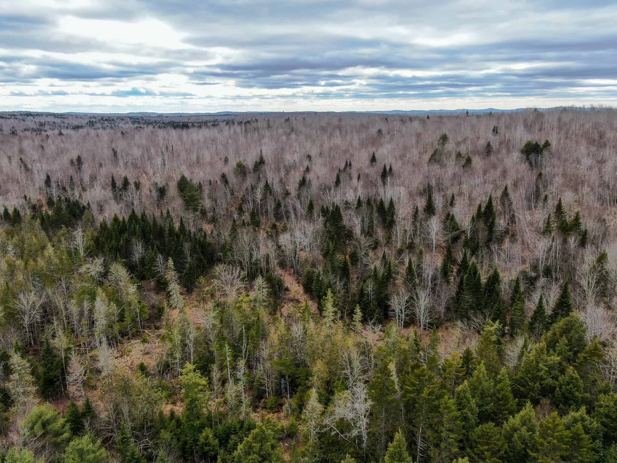 46.8 Acres of Maine Land for Sale – Remote, Forested, Affordable