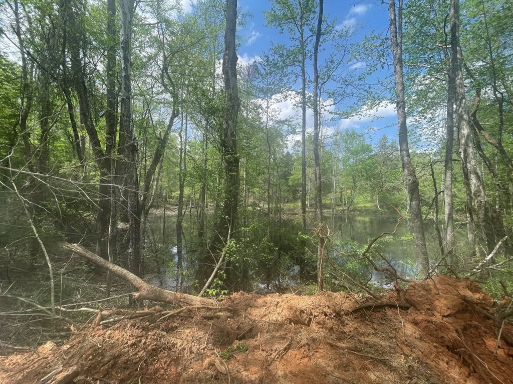 Amite County 38.6 Acres For Sale