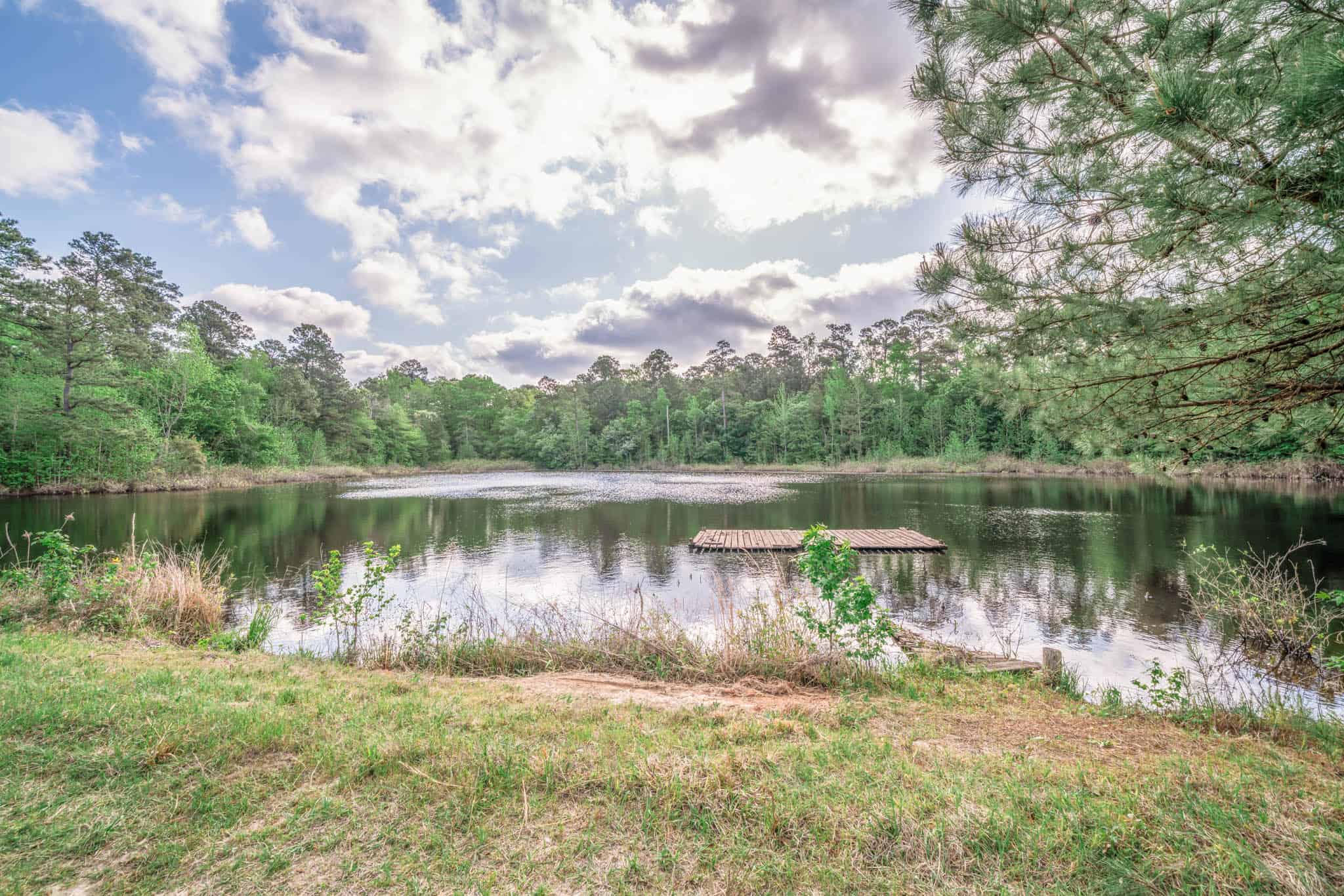 Twin Pine Ranch, An Exceptional East Texas Ranch Property