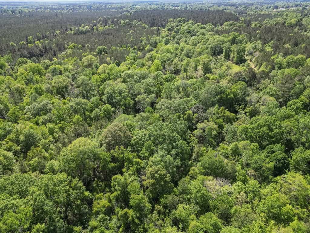 Deer and Turkey Property in Pike County, MS