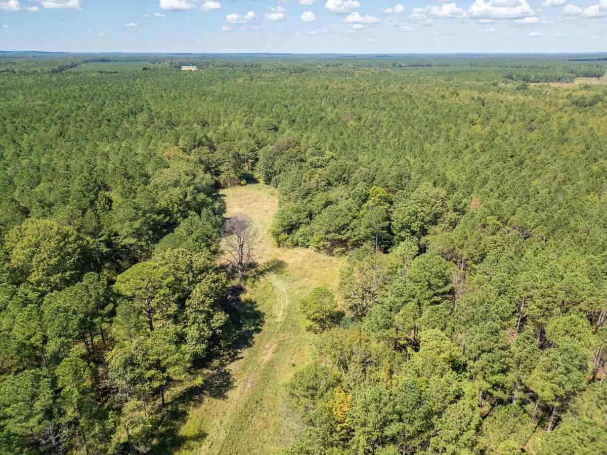 40 Acres For Sale Starkville MS