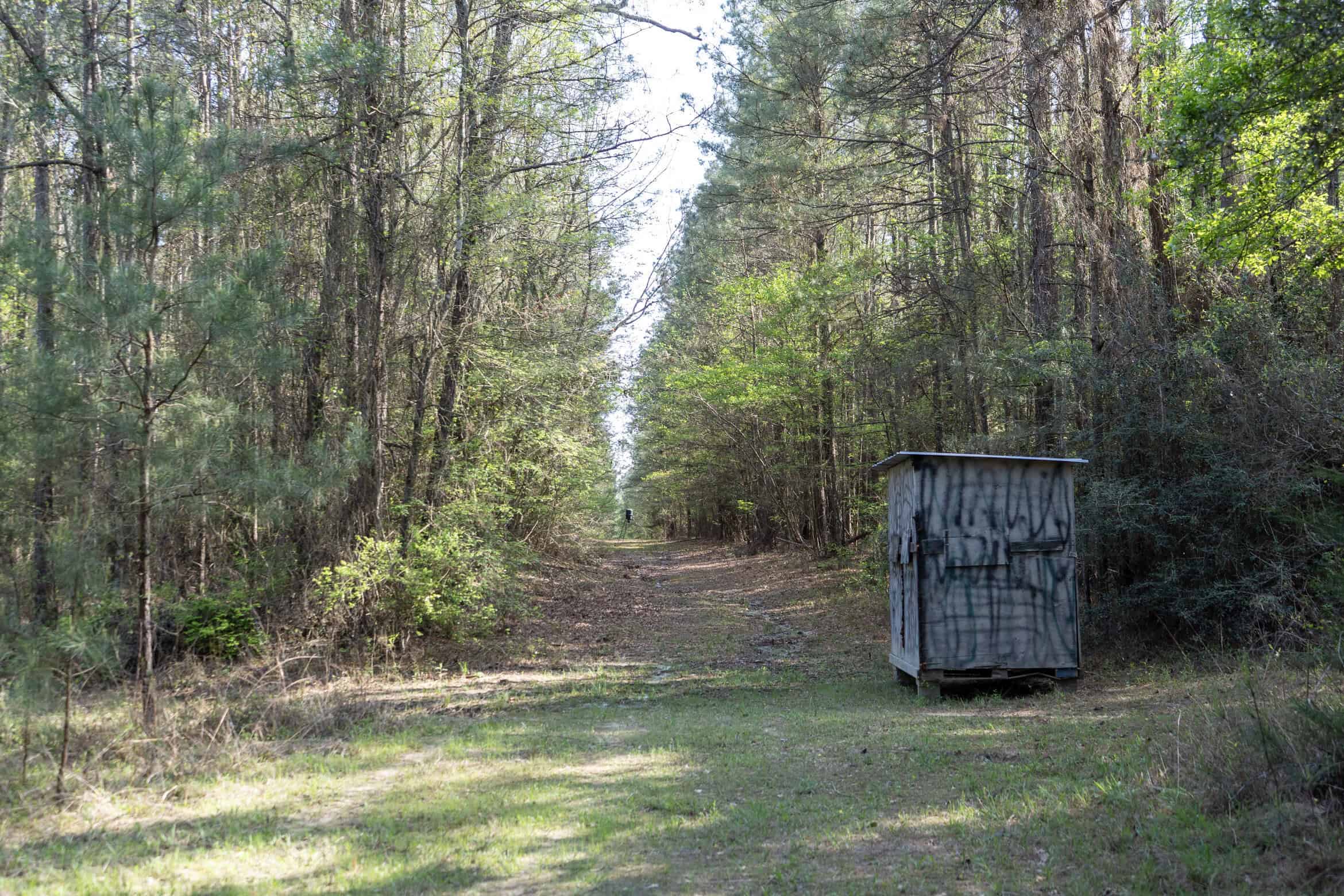 Longstraw 53 (Tract 2) Jackson Parish Timberland