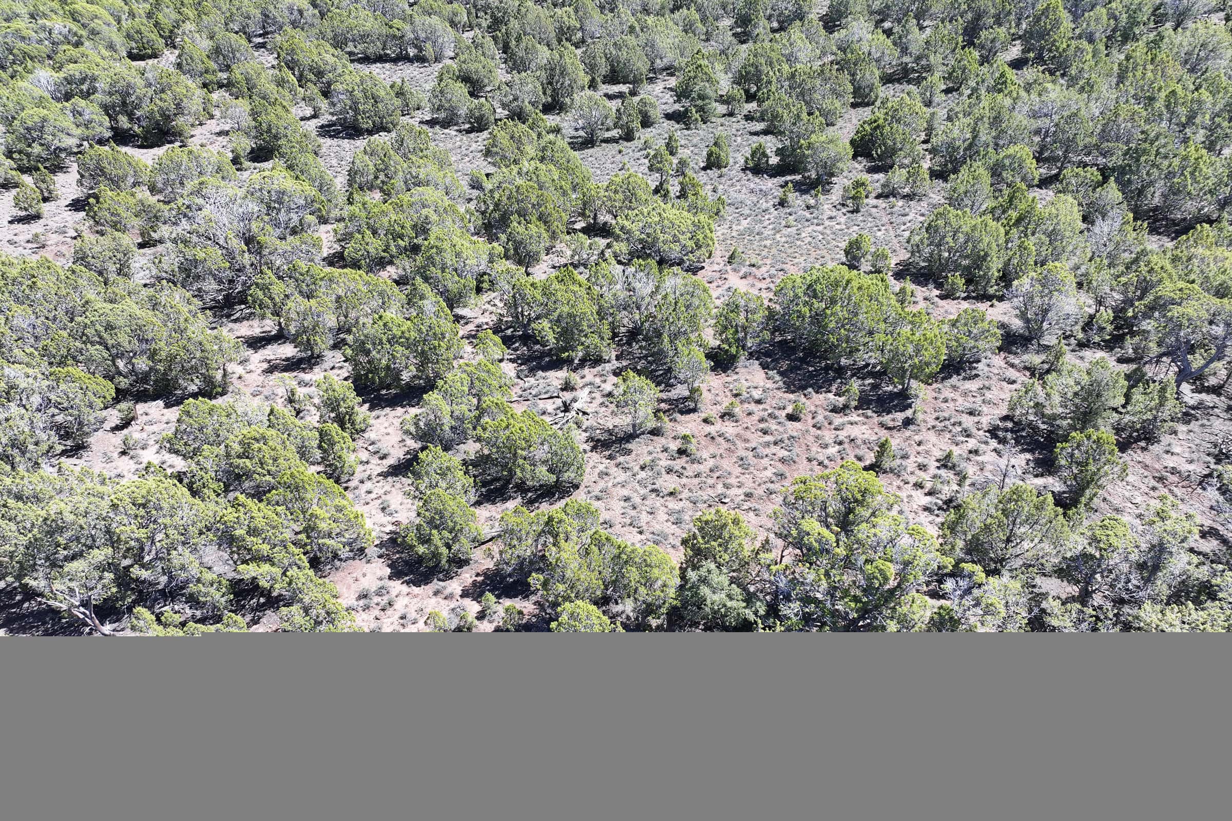 Colorado Mountain Vacant Land in GMU 421 Bordering BLM in Mesa County