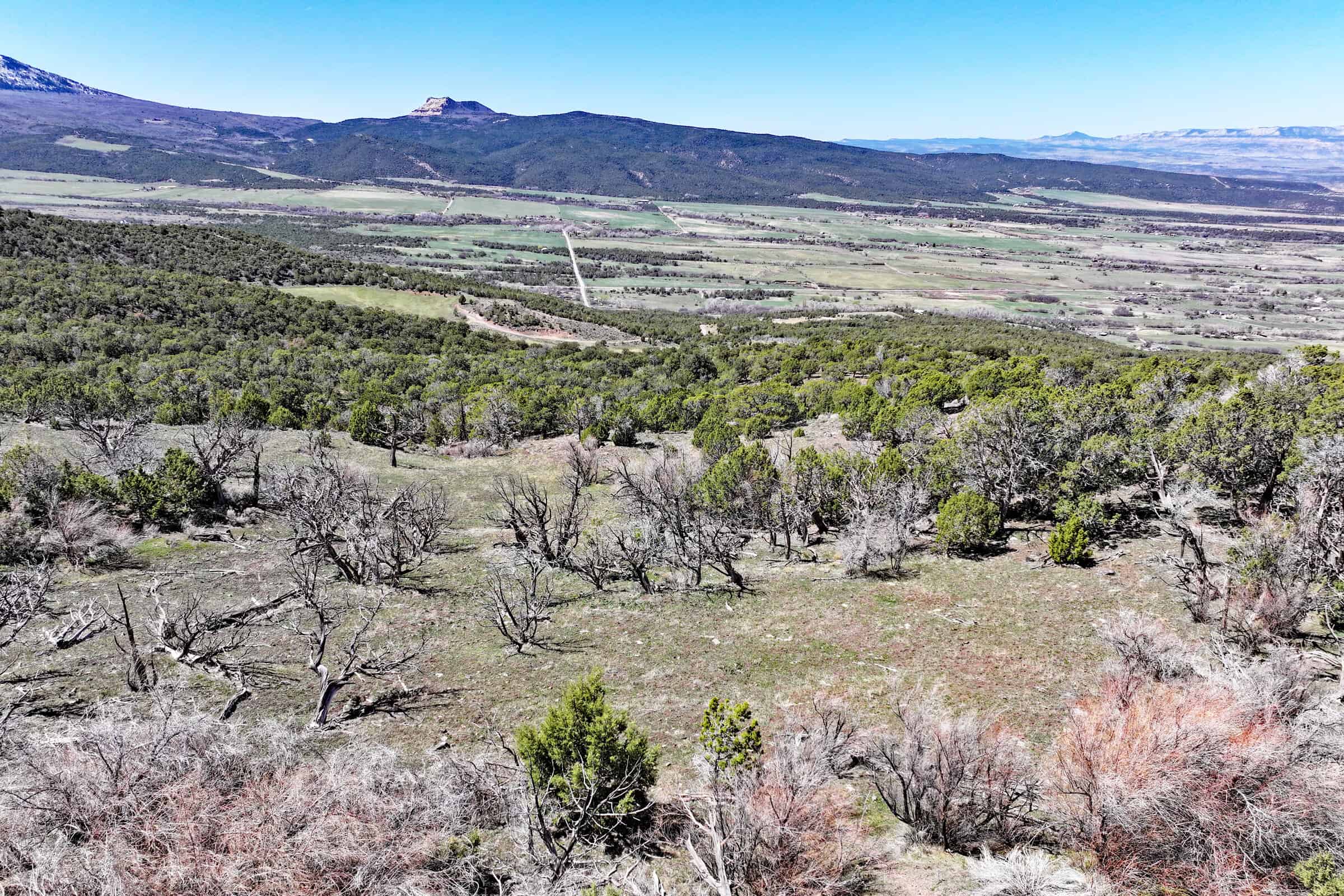 Colorado Mountain Vacant Land in GMU 421 Bordering BLM in Mesa County