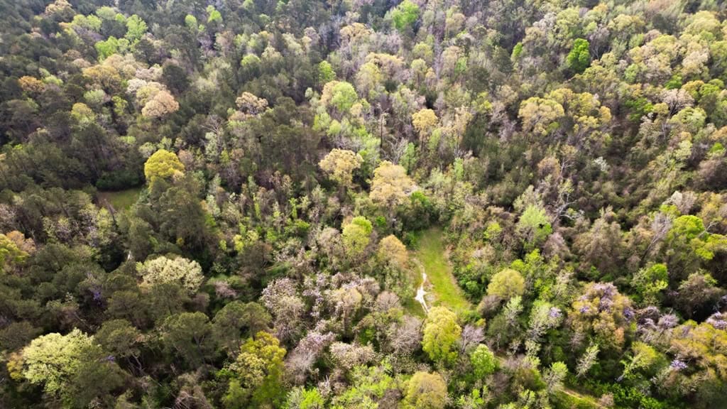 Affordable Property in Woodville, MS