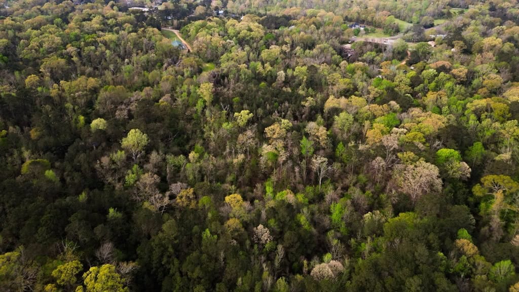 Affordable Property in Woodville, MS