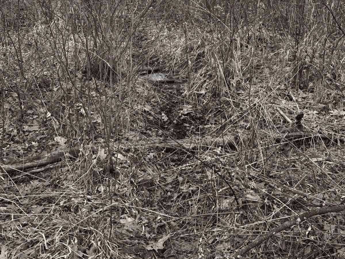 75-acre parcel in the heart of Clark County Wisconsin