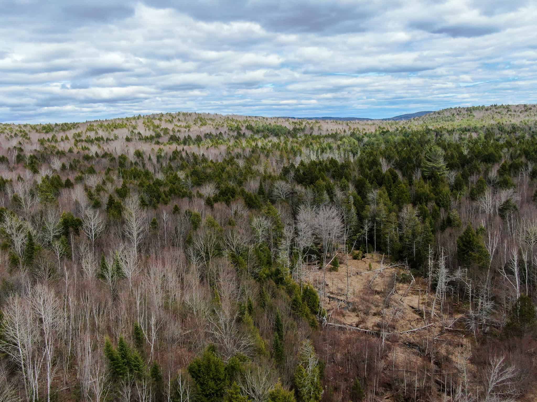 40.8 Acres of Off-Grid Paradise in Lakeville, Maine