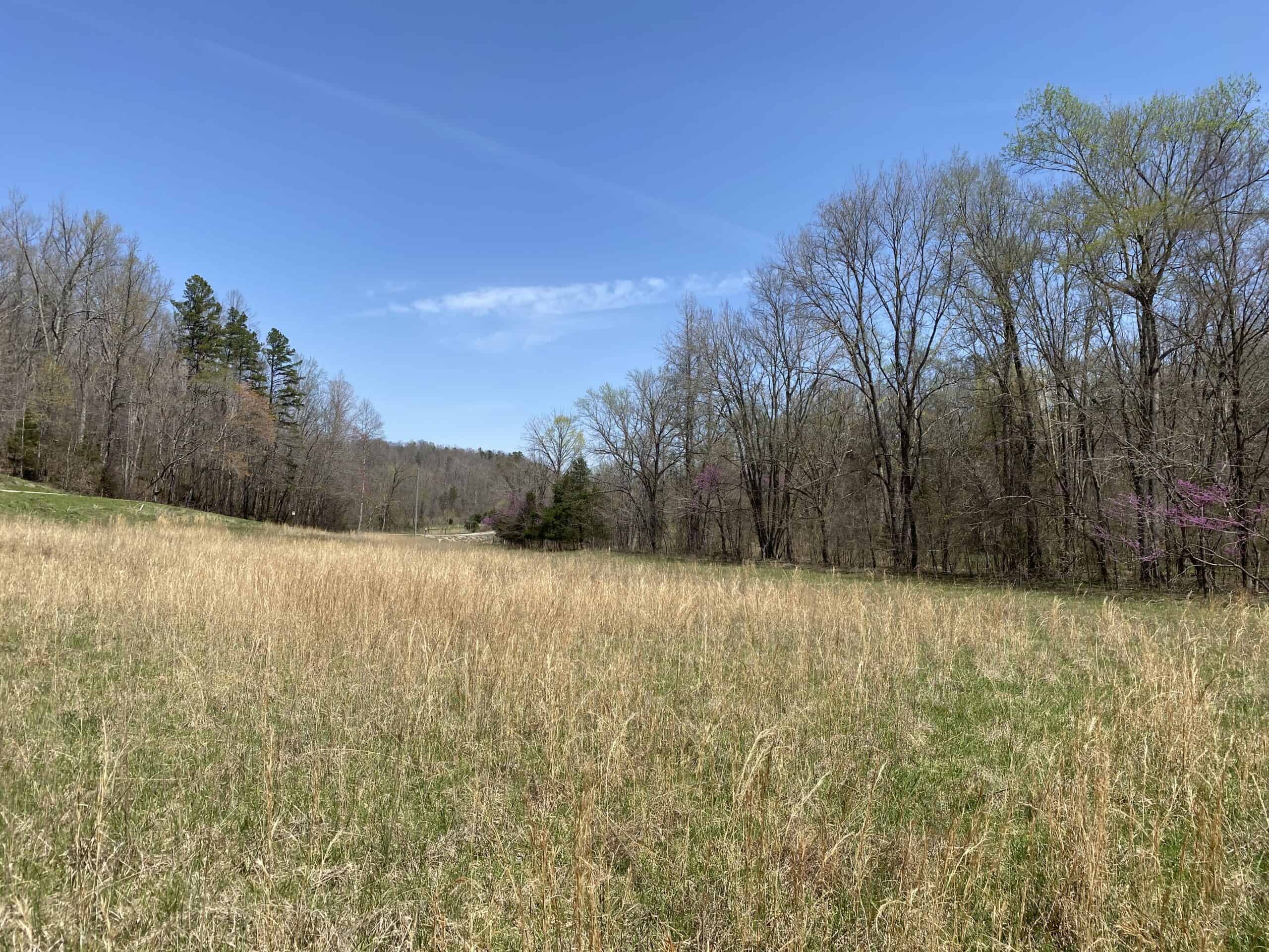 RENOVATED HOME ON 40 ACRES FOR SALE IN HARDIN COUNTY, TN