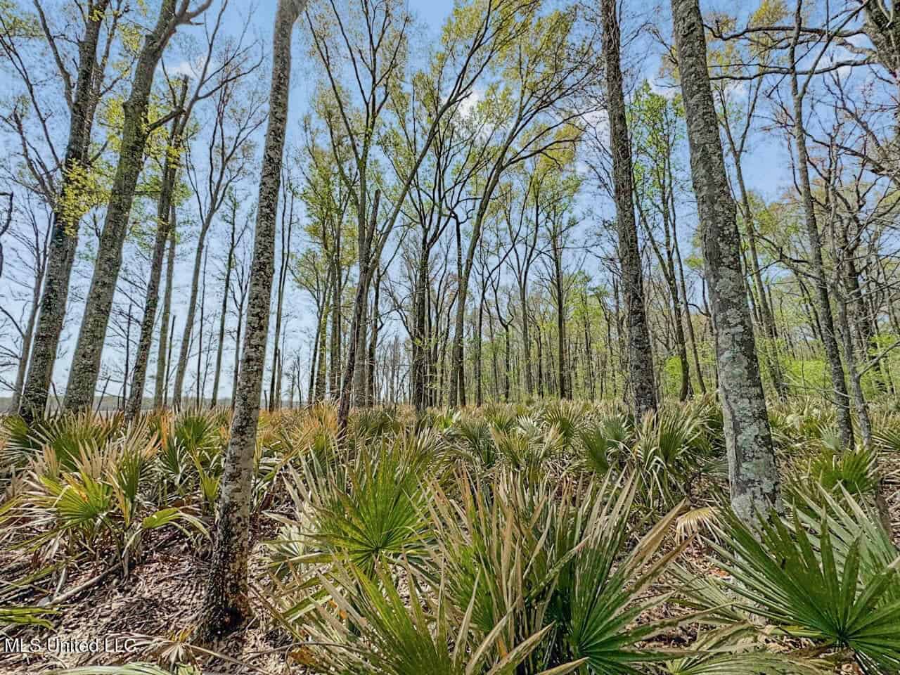 Small Hunting Property in Concordia Parish