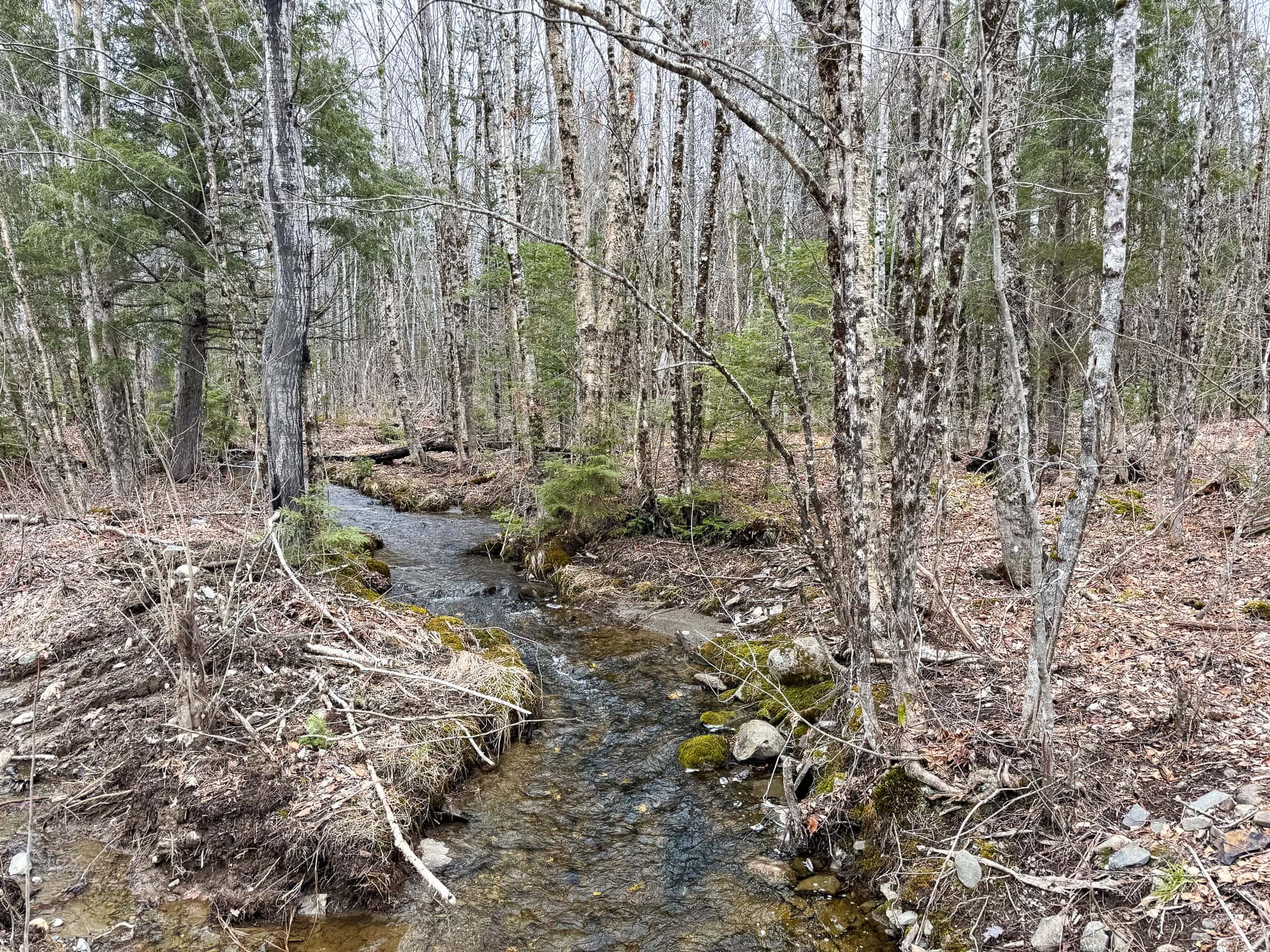 46.8 Acres of Maine Land for Sale – Remote, Forested, Affordable