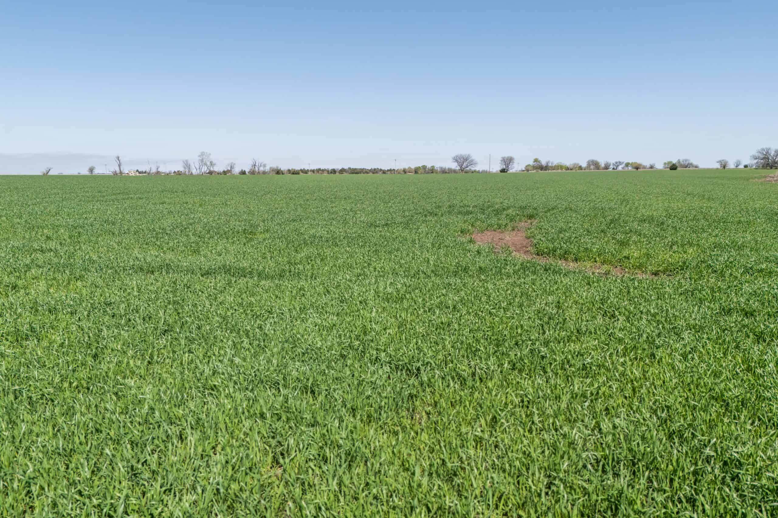 Montgomery County, KS Mixed-Use On-Line Land Auction
