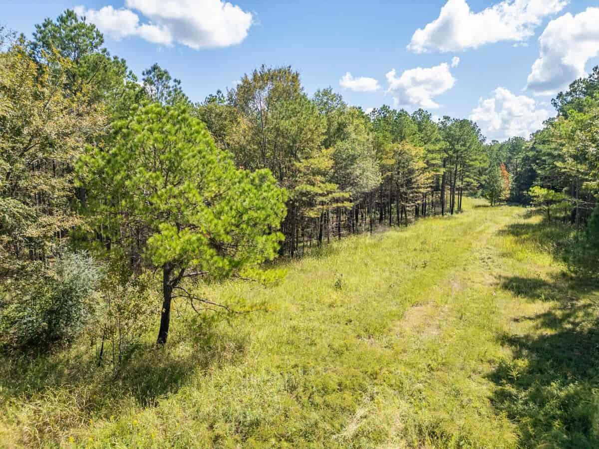 40 Acres For Sale Starkville MS