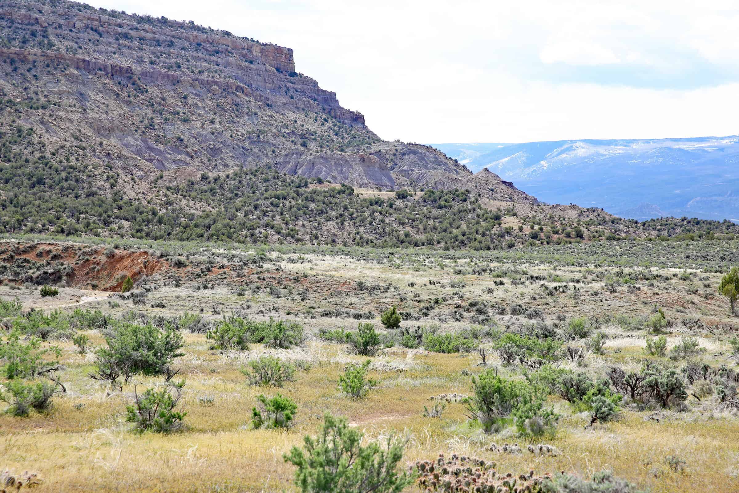 Vacant Hunting Land Bordering Public Land, BLM Access on Western Slope Colorado