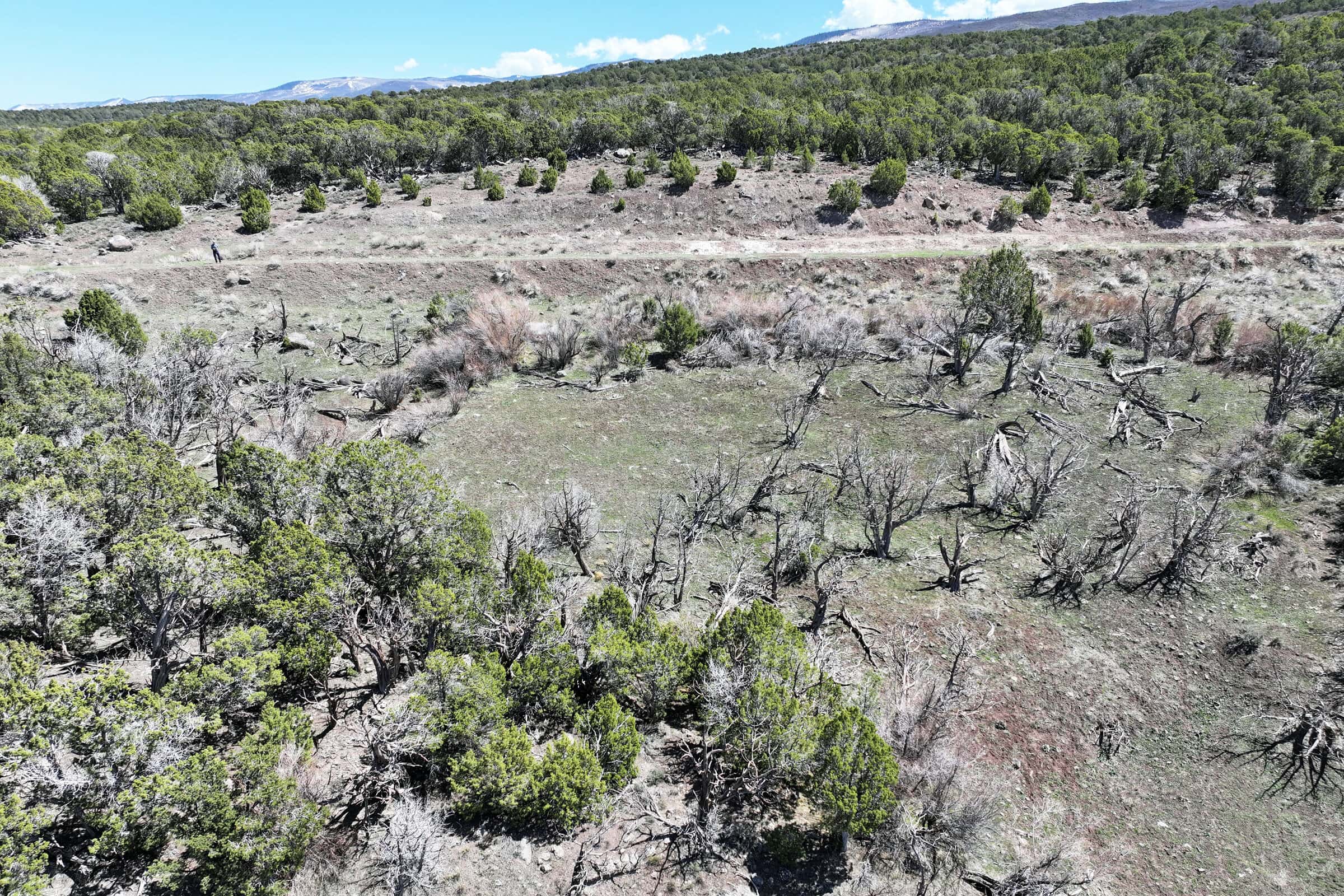 Colorado Mountain Vacant Land in GMU 421 Bordering BLM in Mesa County
