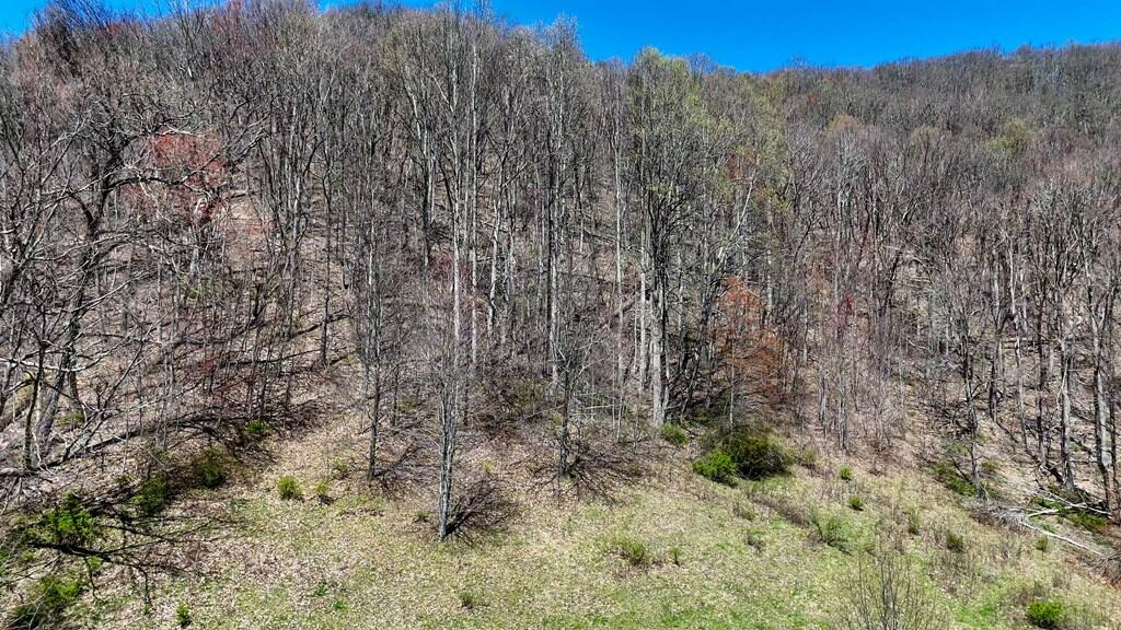 Legacy Farm Retreat – 299 Acres of Mountain Majesty in Tazewell, VA