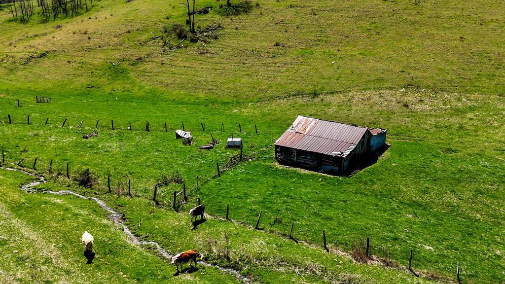 Legacy Farm Retreat – 299 Acres of Mountain Majesty in Tazewell, VA