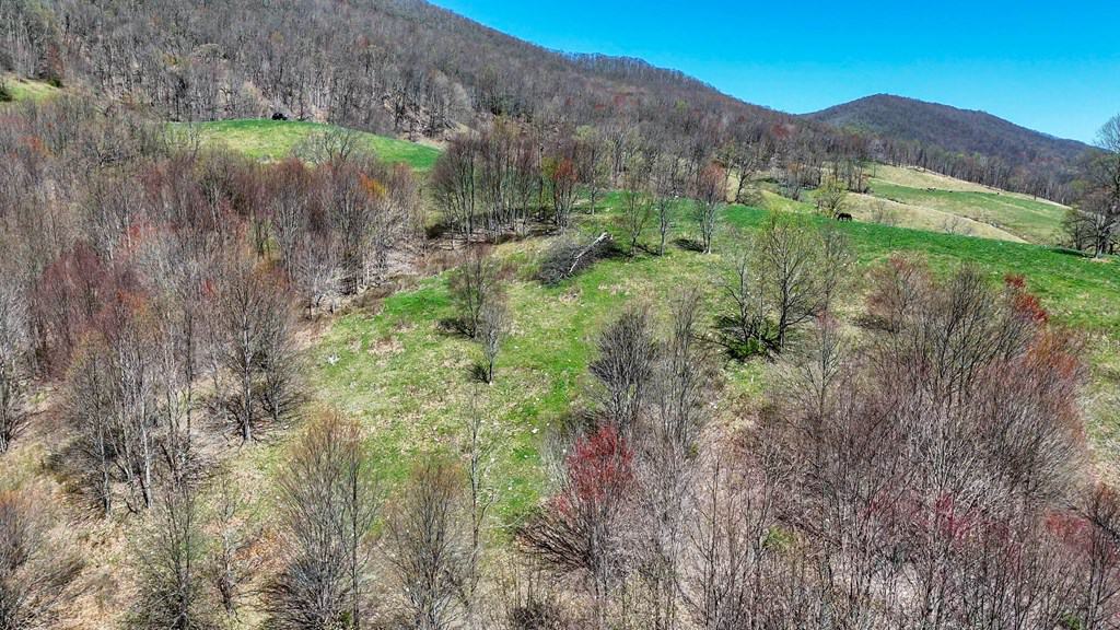 Legacy Farm Retreat – 299 Acres of Mountain Majesty in Tazewell, VA