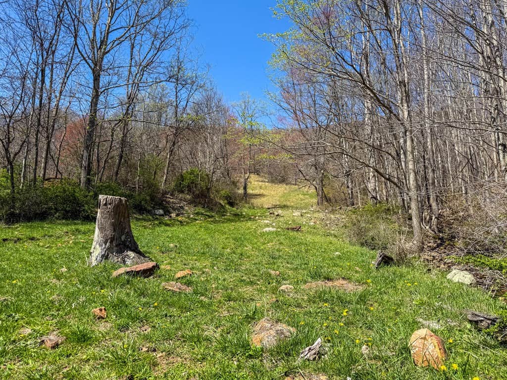 Legacy Farm Retreat – 299 Acres of Mountain Majesty in Tazewell, VA