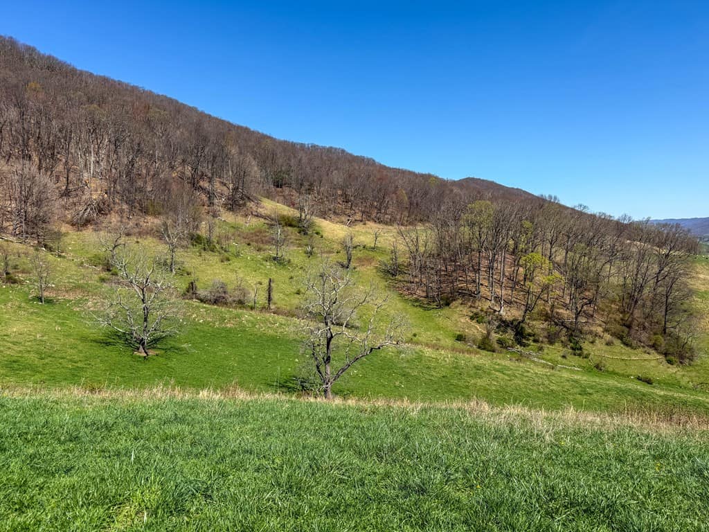 Legacy Farm Retreat – 299 Acres of Mountain Majesty in Tazewell, VA