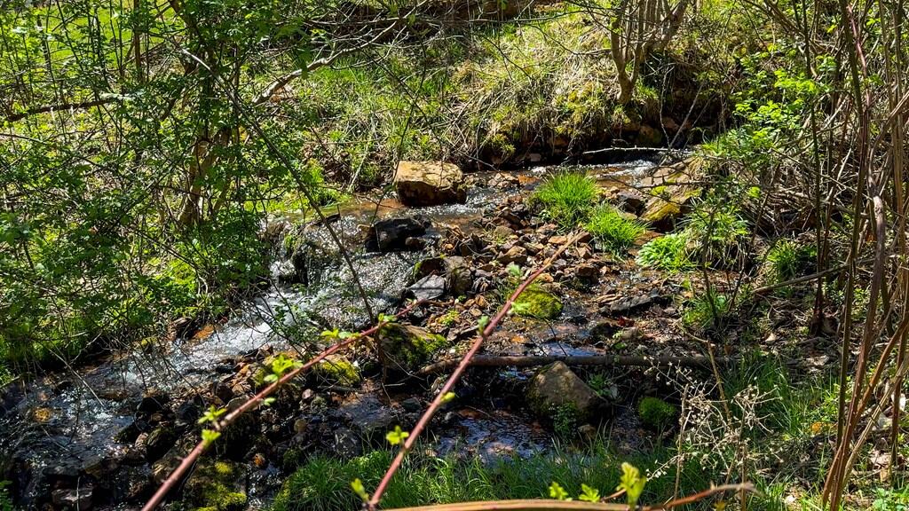 Legacy Farm Retreat – 299 Acres of Mountain Majesty in Tazewell, VA