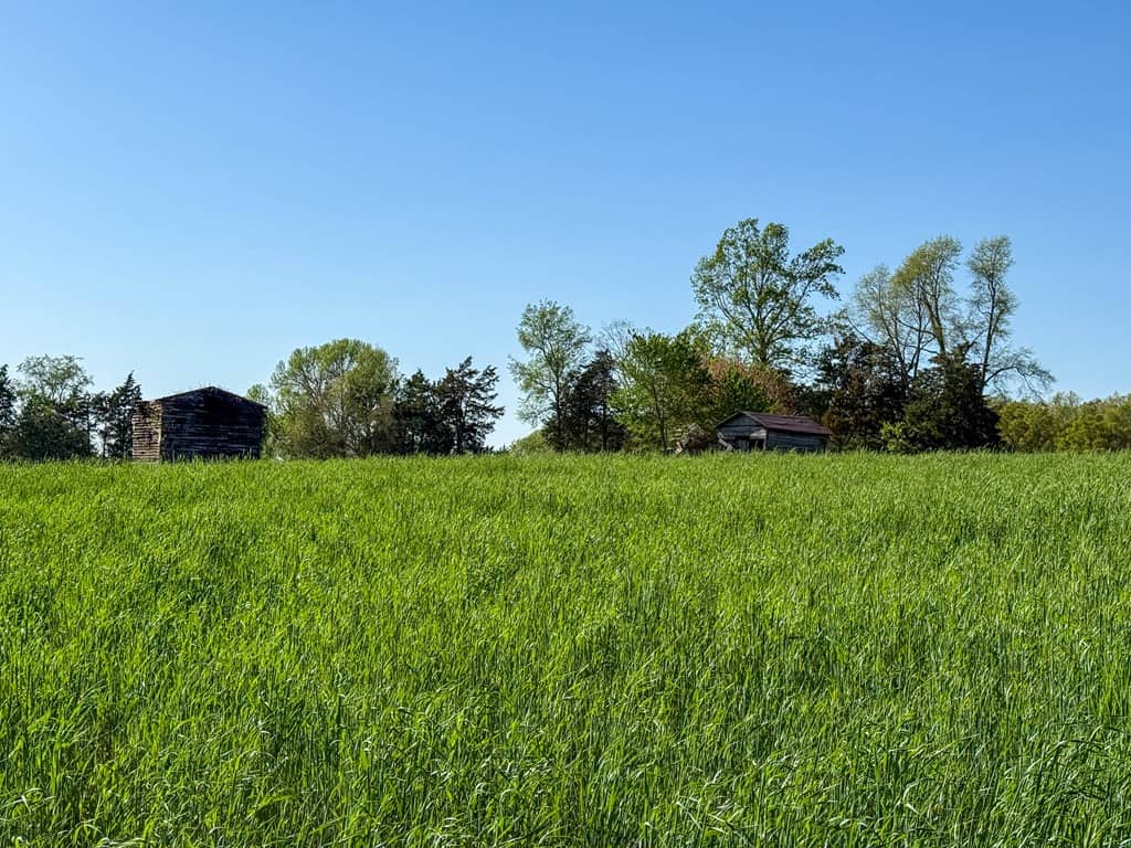 Outdoor Paradise in Charlotte County, VA– Hunt, Fish & Relax on 77± Acres