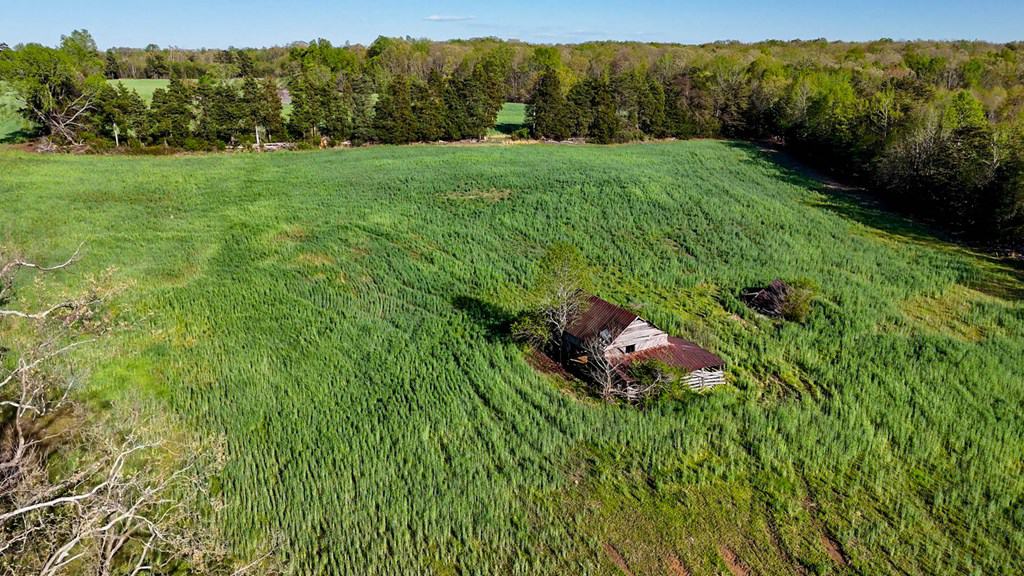 Outdoor Paradise in Charlotte County, VA– Hunt, Fish & Relax on 77± Acres