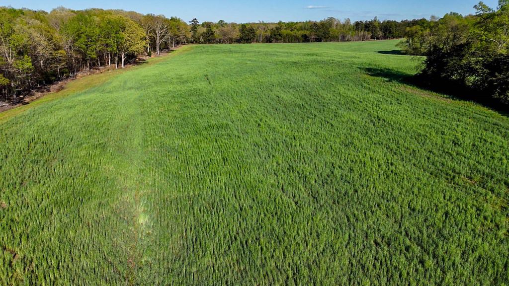 Outdoor Paradise in Charlotte County, VA– Hunt, Fish & Relax on 77± Acres