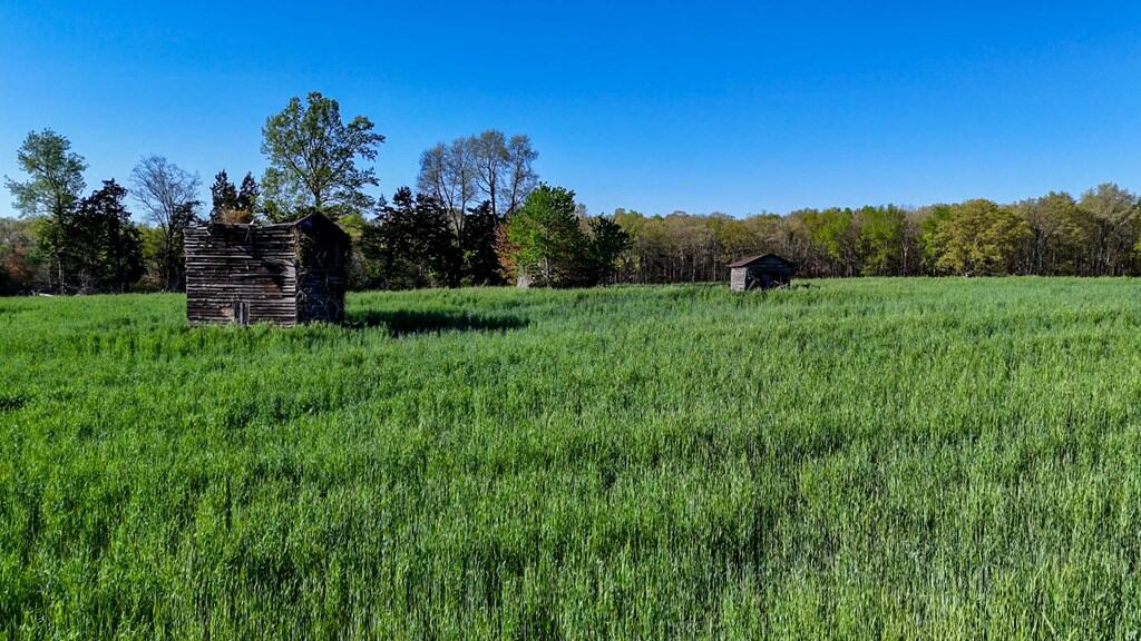 Outdoor Paradise in Charlotte County, VA– Hunt, Fish & Relax on 77± Acres