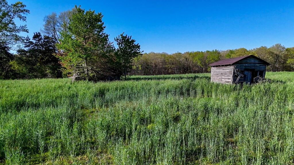 Outdoor Paradise in Charlotte County, VA– Hunt, Fish & Relax on 77± Acres