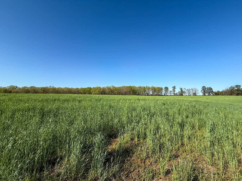 Outdoor Paradise in Charlotte County, VA– Hunt, Fish & Relax on 77± Acres