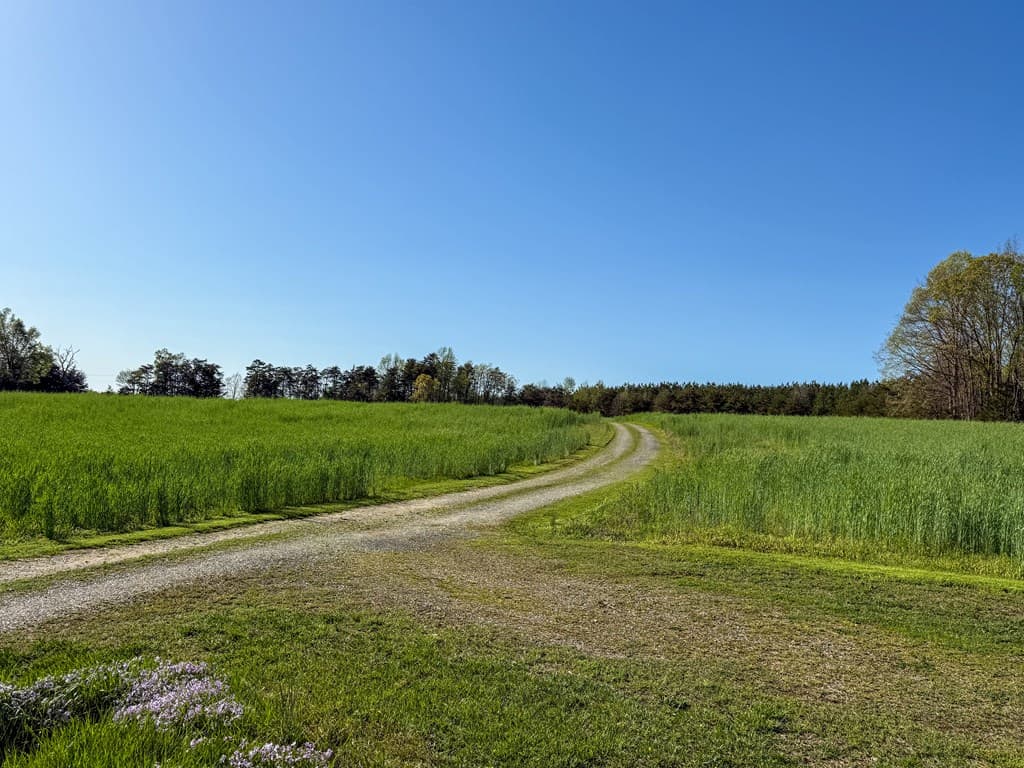 Outdoor Paradise in Charlotte County, VA– Hunt, Fish & Relax on 77± Acres