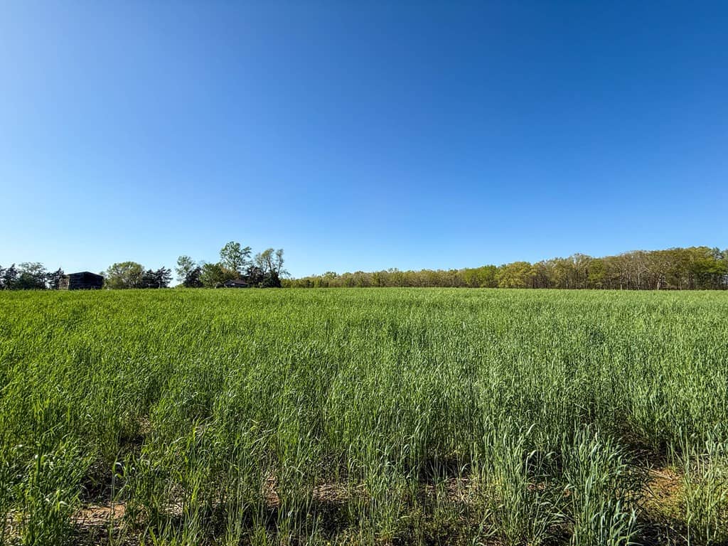 Outdoor Paradise in Charlotte County, VA– Hunt, Fish & Relax on 77± Acres