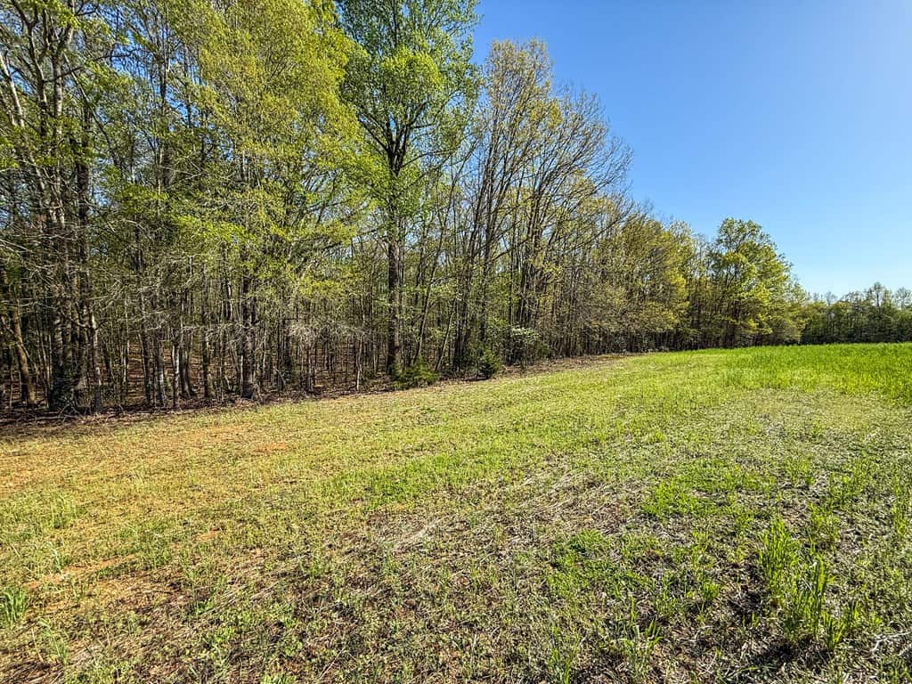 Outdoor Paradise in Charlotte County, VA– Hunt, Fish & Relax on 77± Acres