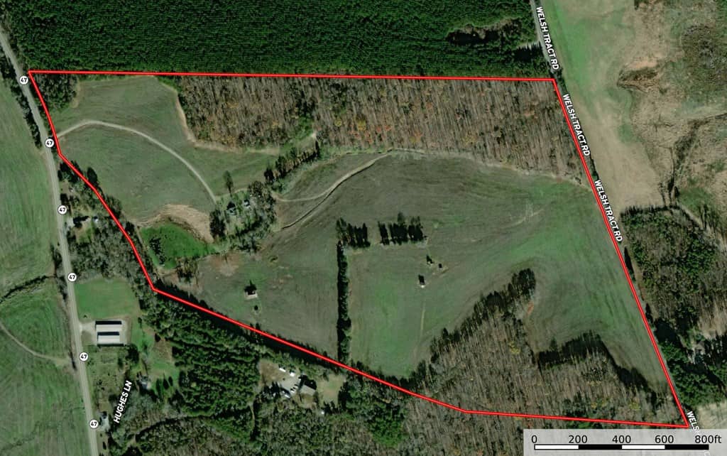 Outdoor Paradise in Charlotte County, VA– Hunt, Fish & Relax on 77± Acres