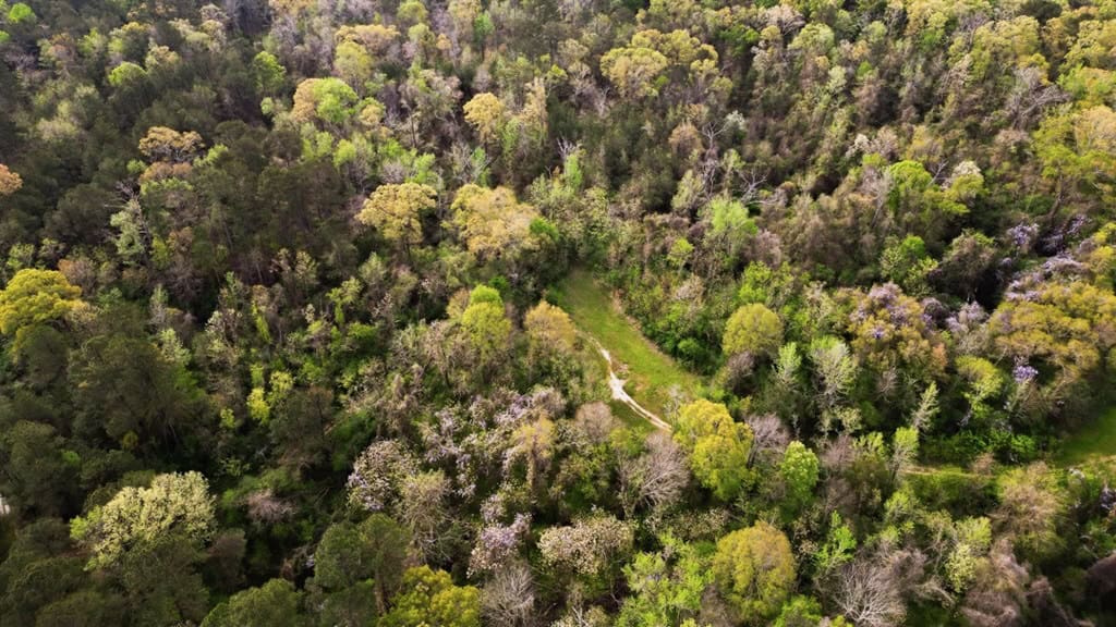 Affordable Property in Woodville, MS
