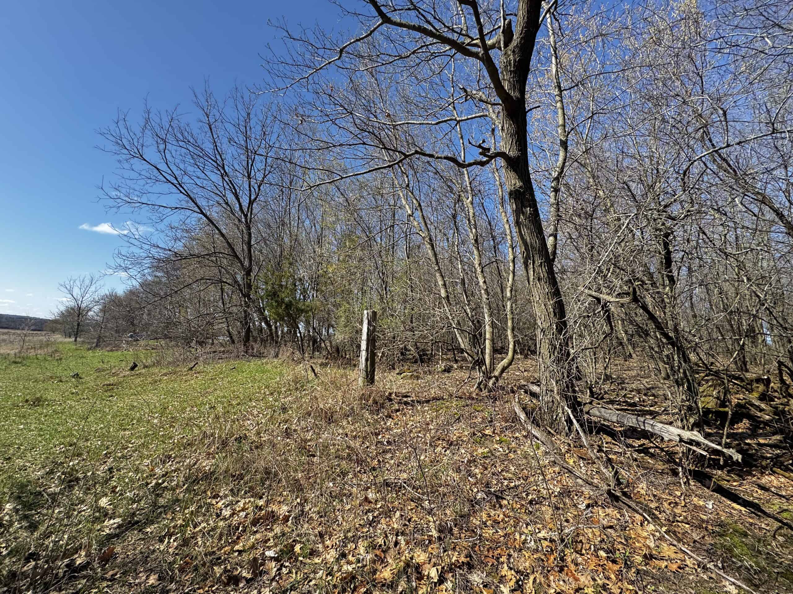 2 Properties Marquette County Online Only Auction