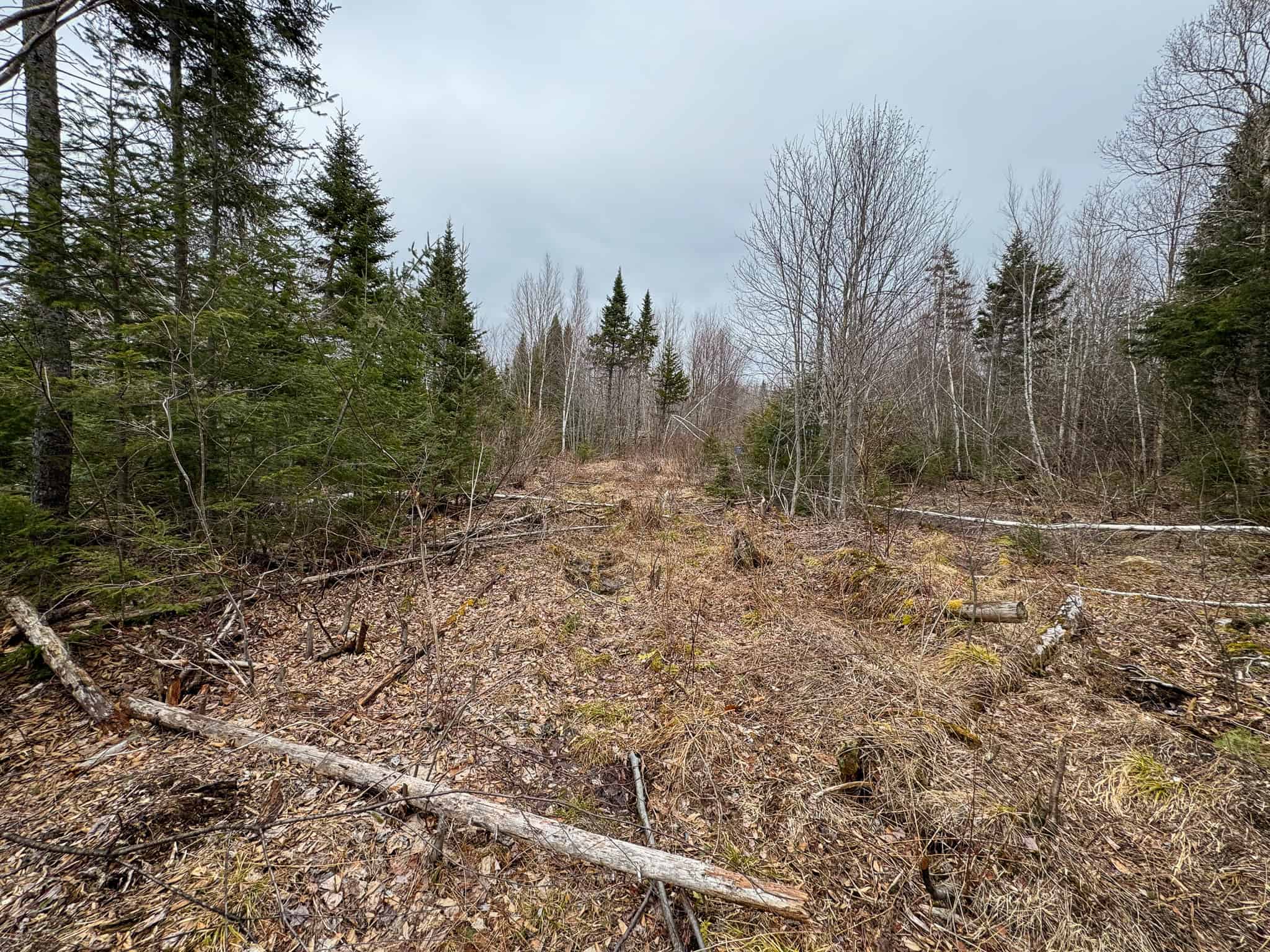 46.8 Acres of Maine Land for Sale – Remote, Forested, Affordable