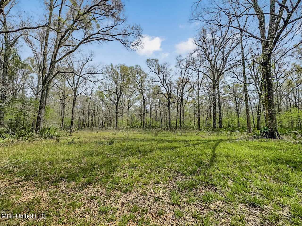 Great Duck/Deer Combo in Concordia Parish