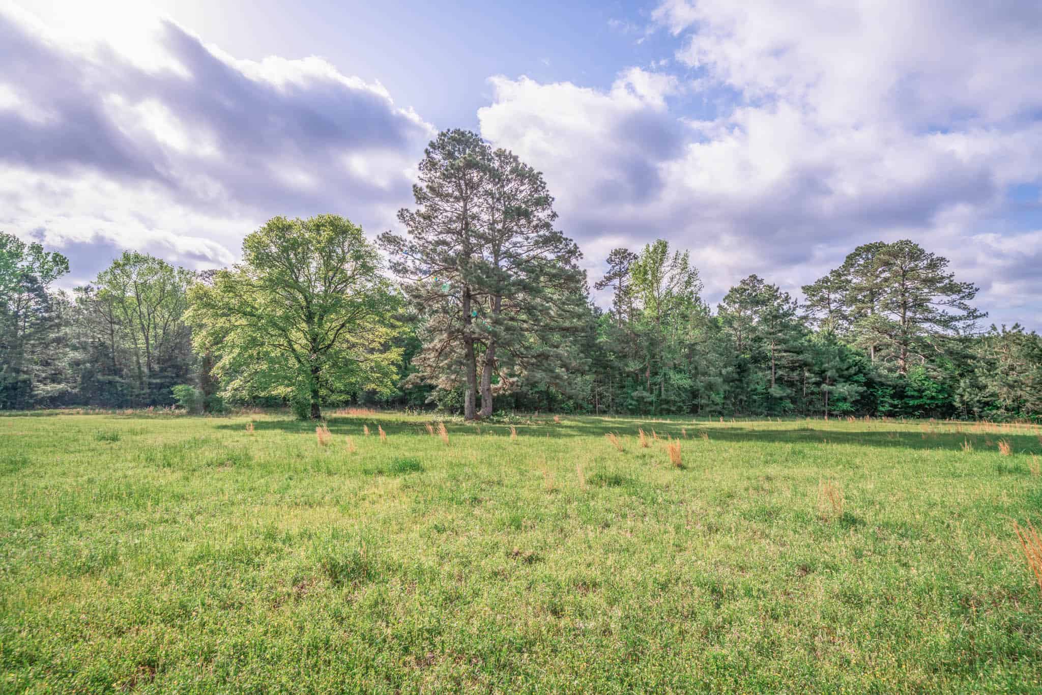 Twin Pine Ranch, An Exceptional East Texas Ranch Property