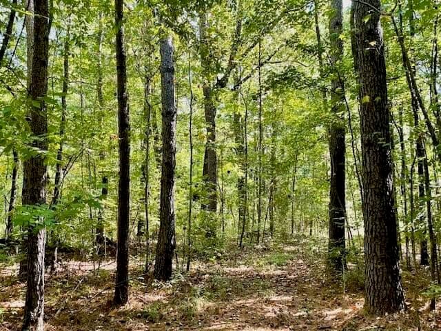 69 Acres For Sale Starkville MS
