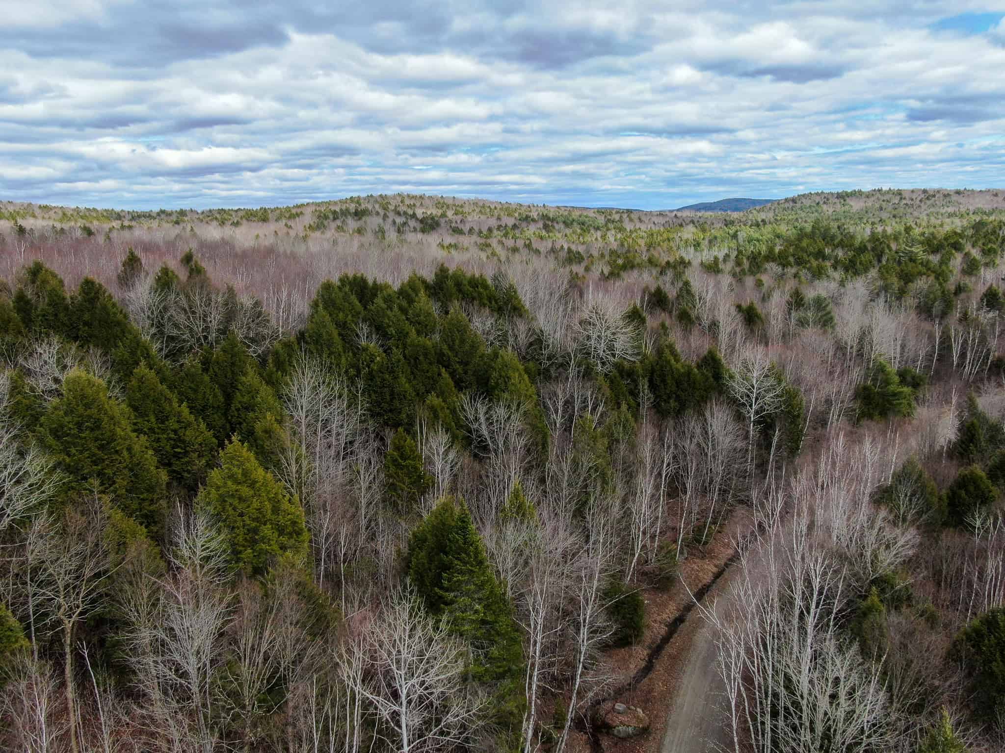 40.8 Acres of Off-Grid Paradise in Lakeville, Maine