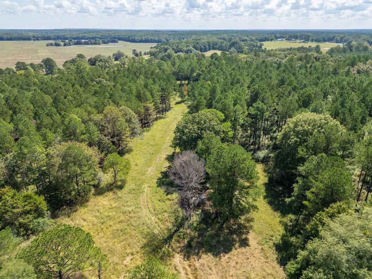 40 Acres For Sale Starkville MS