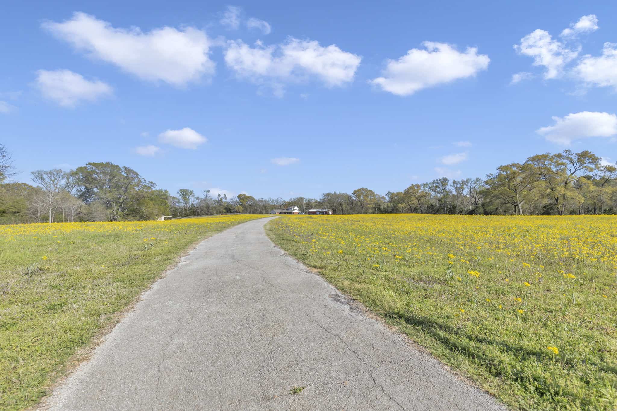 East Texas Hunting & Recreational Farm with Home & Barndo in Lindale, TX