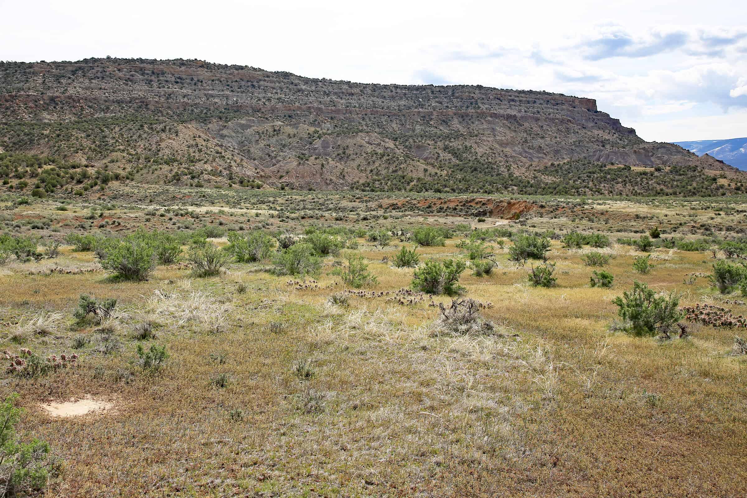 Vacant Hunting Land Bordering Public Land, BLM Access on Western Slope Colorado