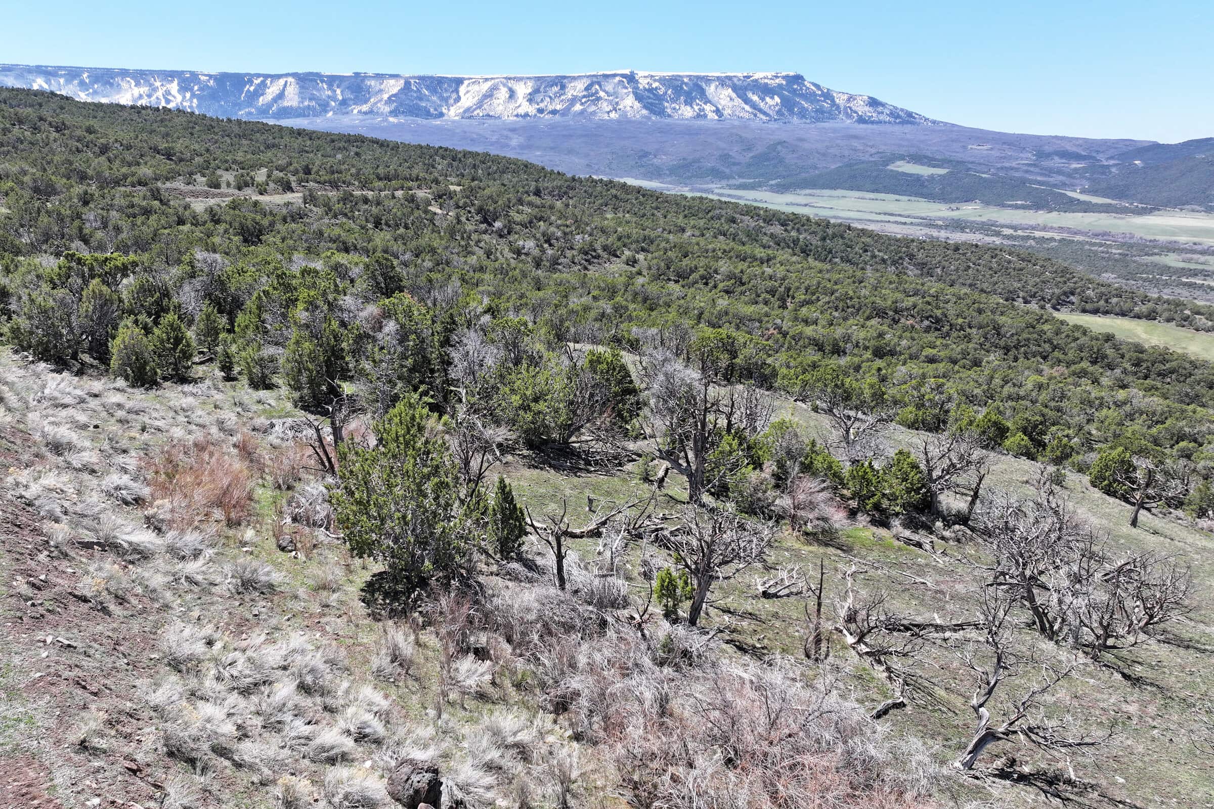 Colorado Mountain Vacant Land in GMU 421 Bordering BLM in Mesa County