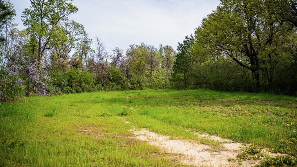 Affordable Property in Woodville, MS