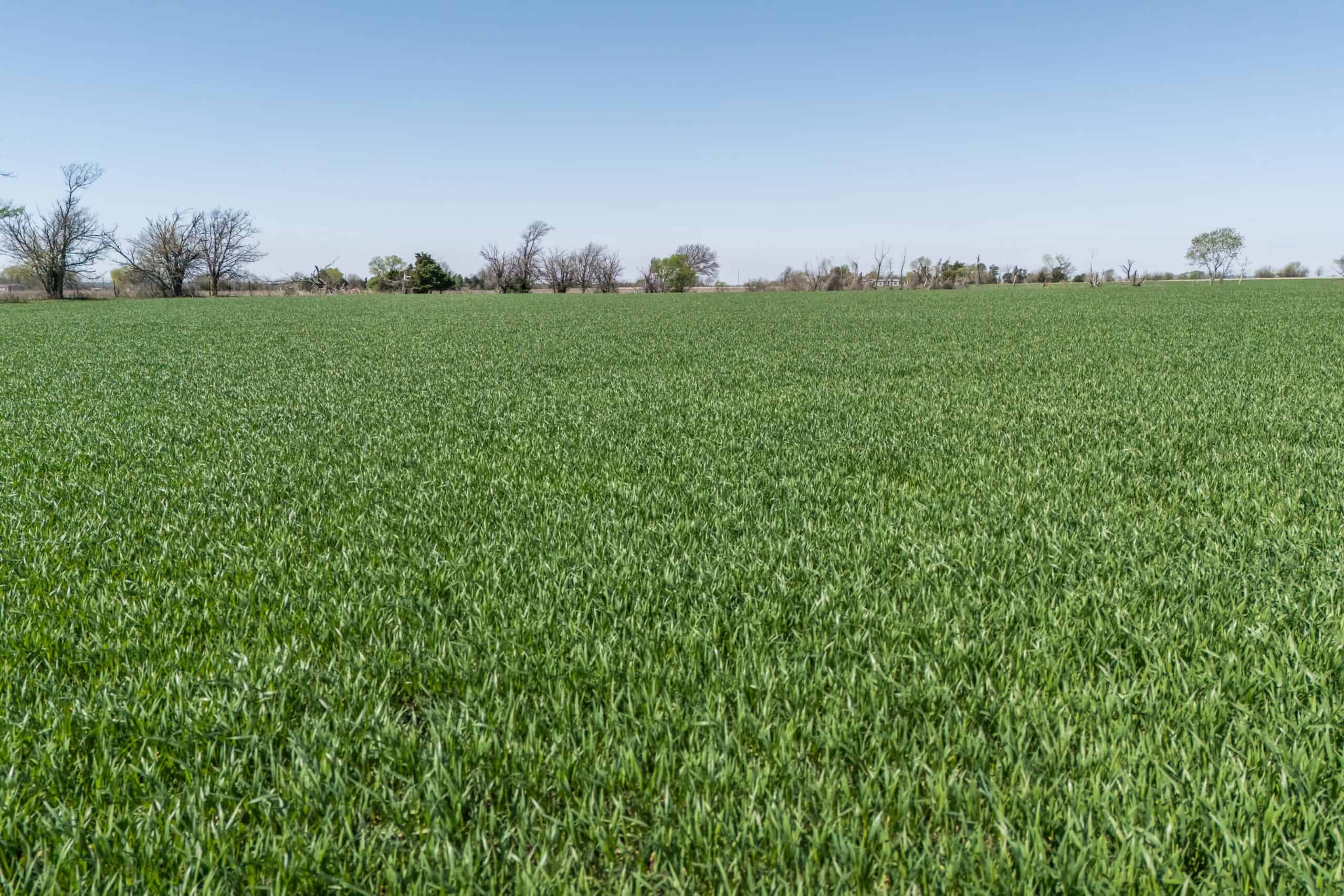Montgomery County, KS Mixed-Use On-Line Land Auction