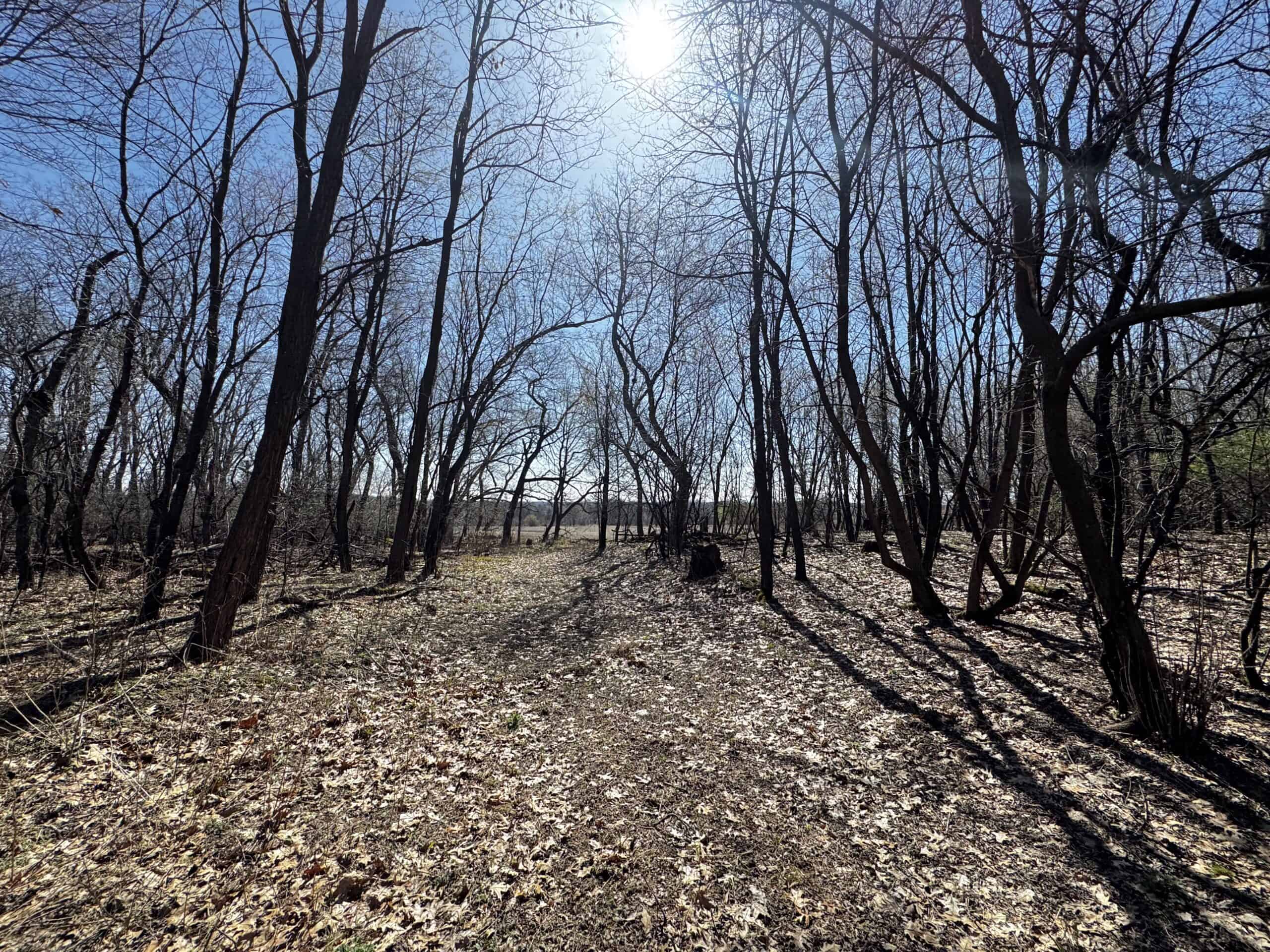 2 Properties Marquette County Online Only Auction