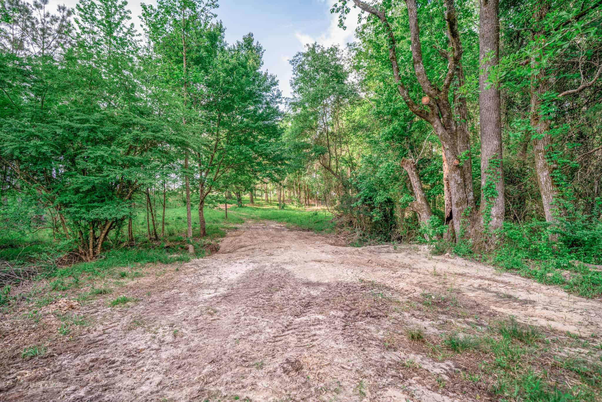 Twin Pine Ranch, An Exceptional East Texas Ranch Property